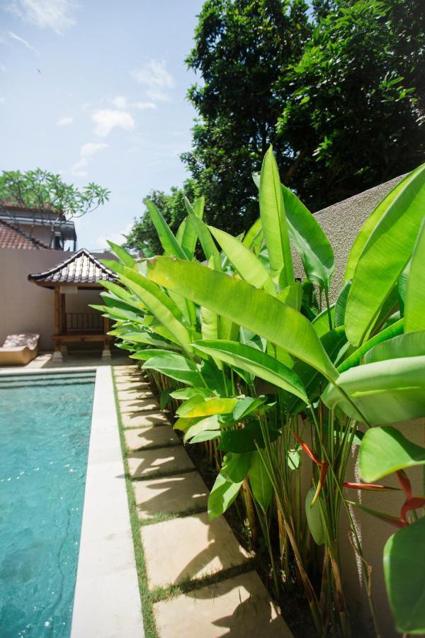 Donguri House Bali Bed and Breakfast Jimbaran Exteriör bild